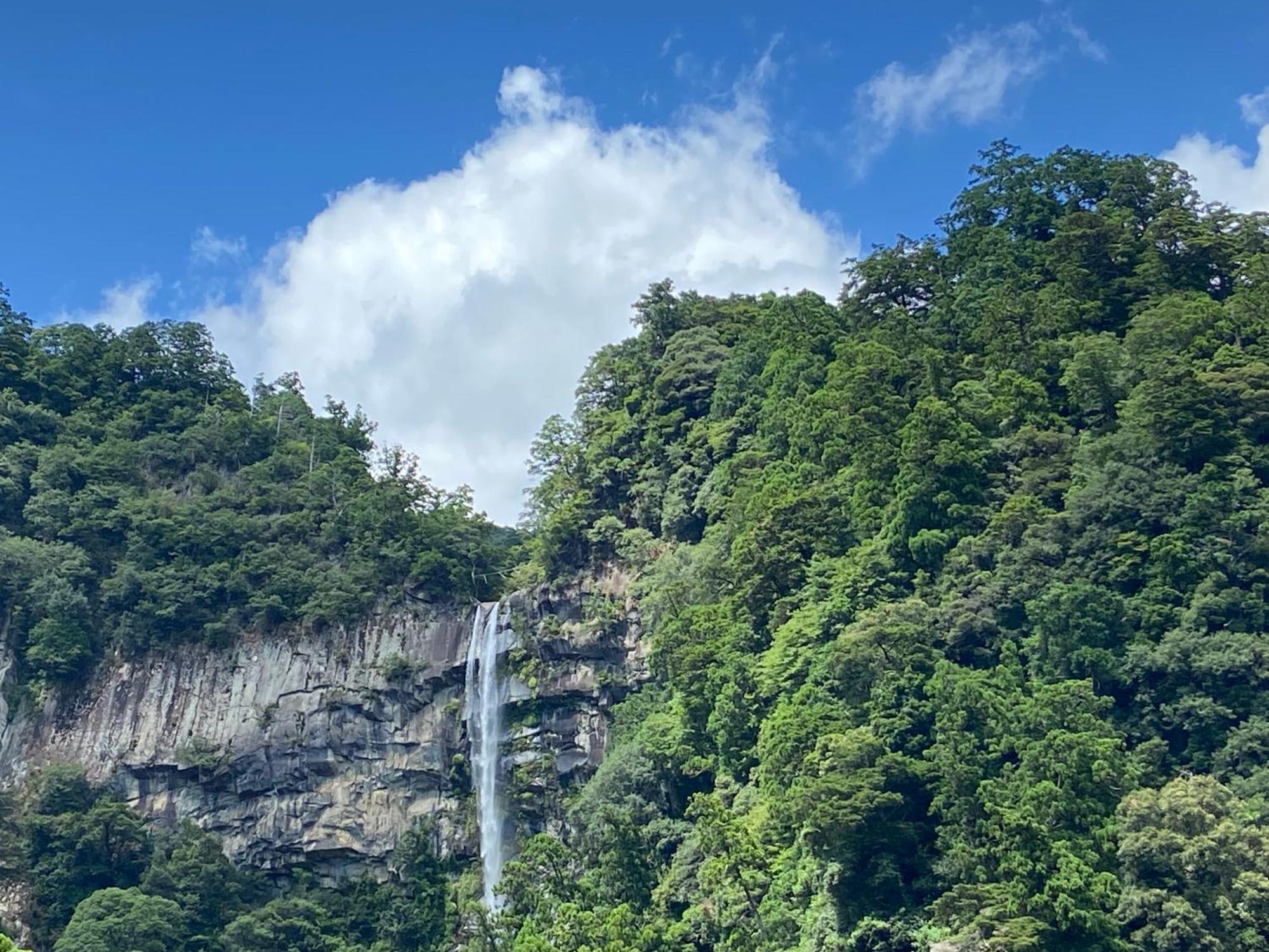癒し宿 かぐら Kuşimoto Dış mekan fotoğraf
