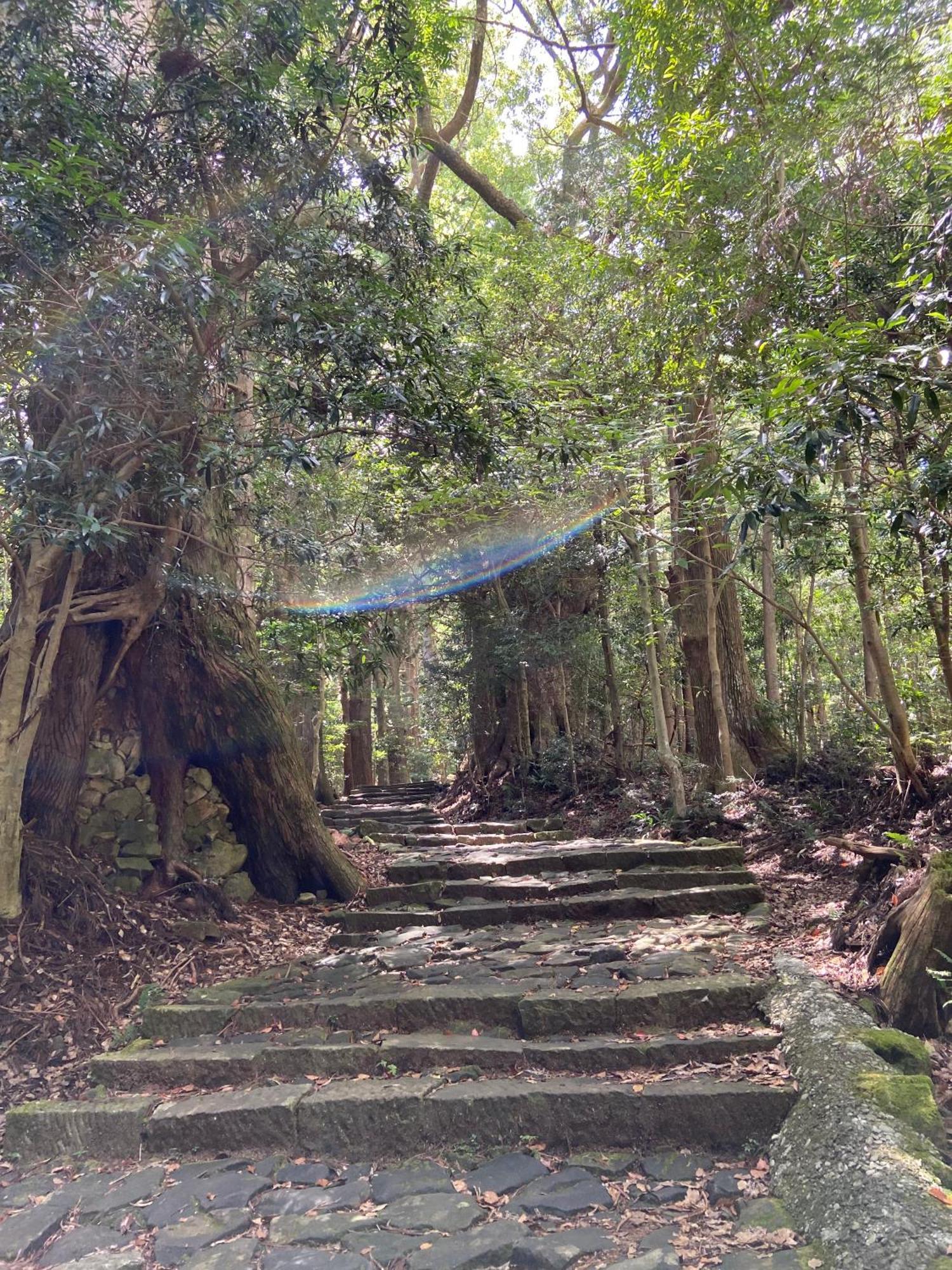 癒し宿 かぐら Kuşimoto Dış mekan fotoğraf