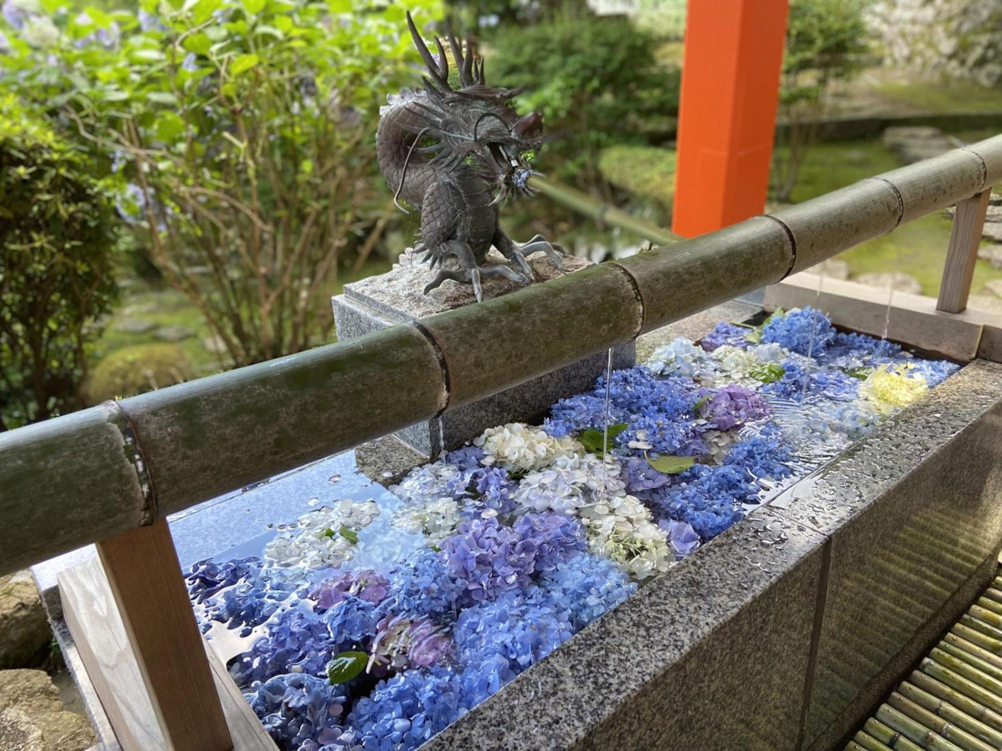 癒し宿 かぐら Kuşimoto Dış mekan fotoğraf