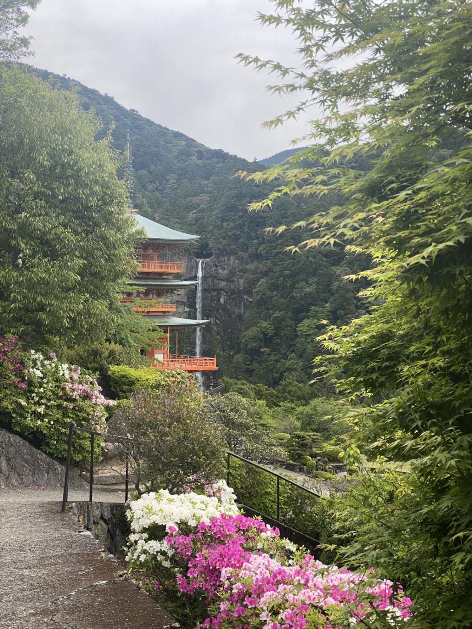 癒し宿 かぐら Kuşimoto Dış mekan fotoğraf